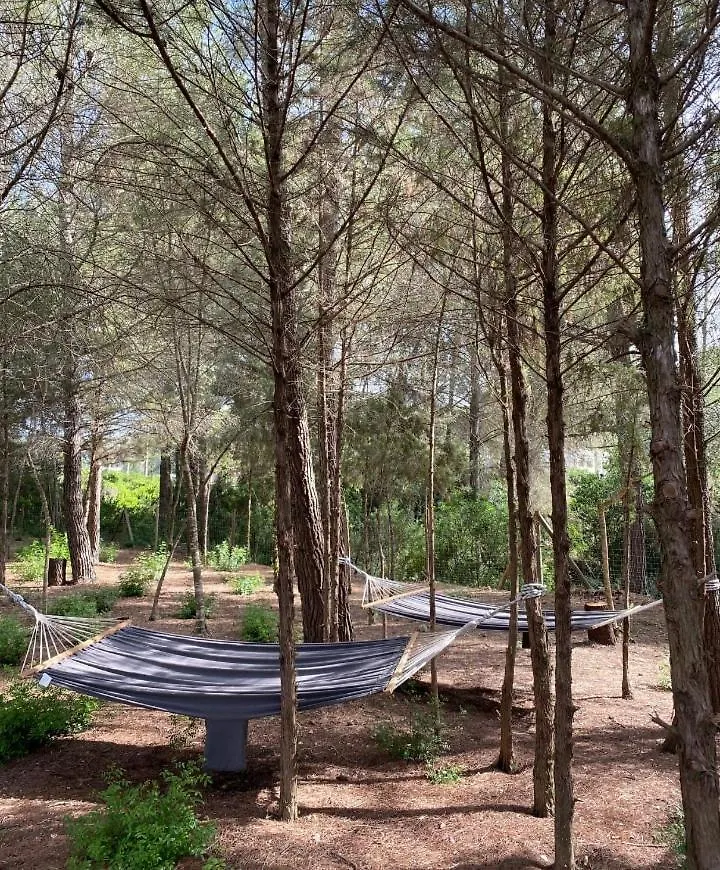 Villa Can Pep De Sa Guaita Amaizing Design & Outdoor Area 10 Minutes From Beaches Calm Area Ибица